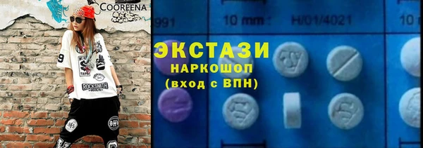 гидра Богородицк