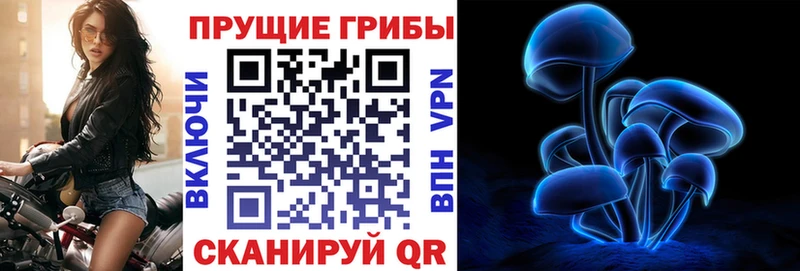 Галлюциногенные грибы Psilocybe  Купить закладки  Отрадный 