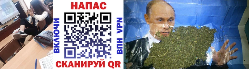 Бошки марихуана THC 21%  Купить закладки  Отрадный 